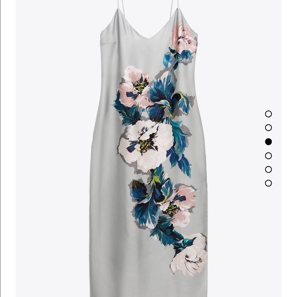 This seasons zara floral slip dress